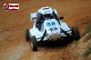 DSC_8546bisWEB.jpg